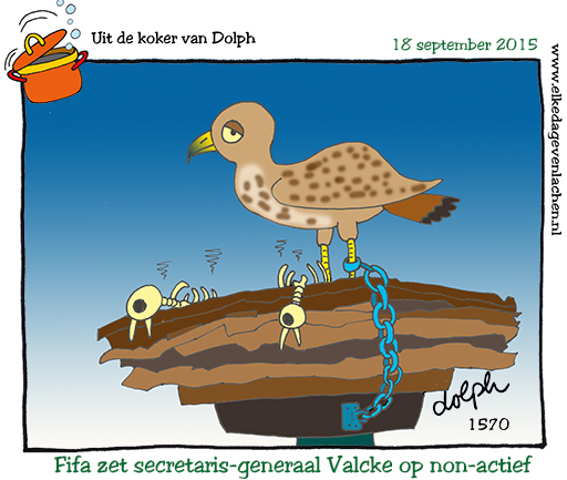 `FIUFA Velcke