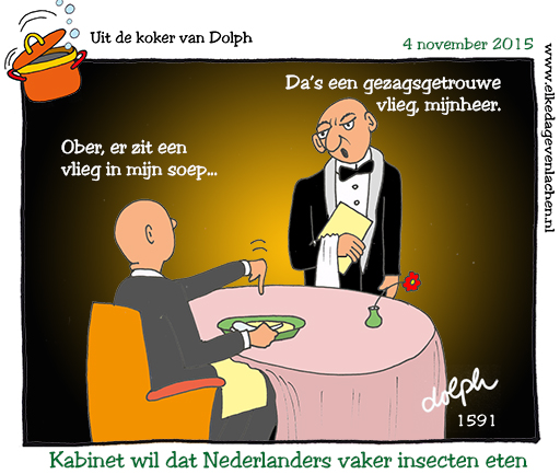 soepvlieg