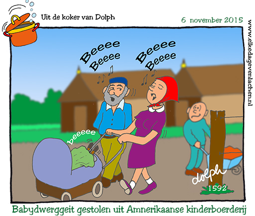 baby dwerggeit