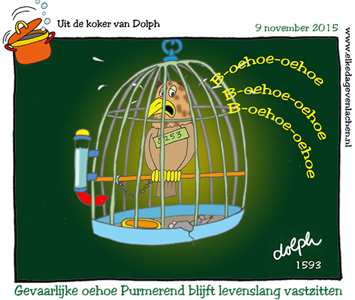 Oehoe