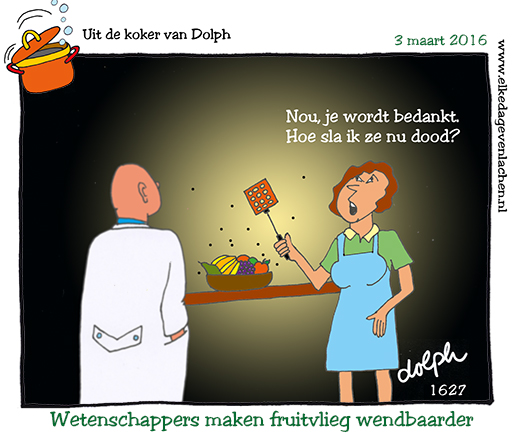 Fruitvliegjes
