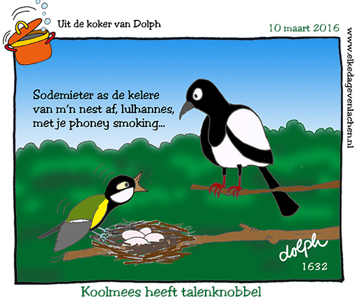  Koolmees