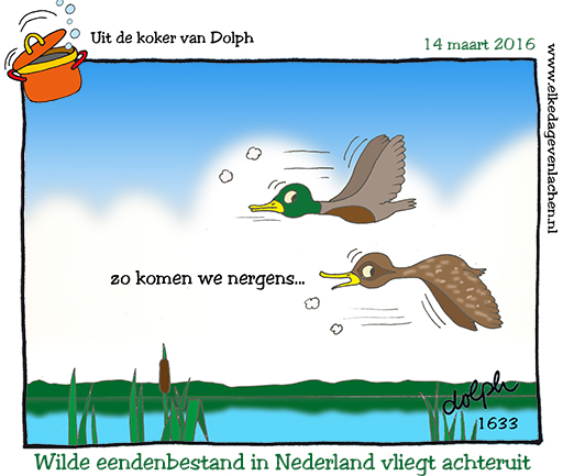  eendenbestand