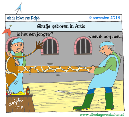 girafje geboren in Artis