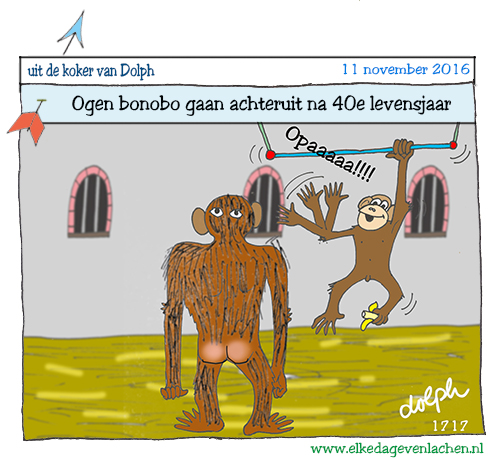 ogen bonobo gaan achteruit na 40