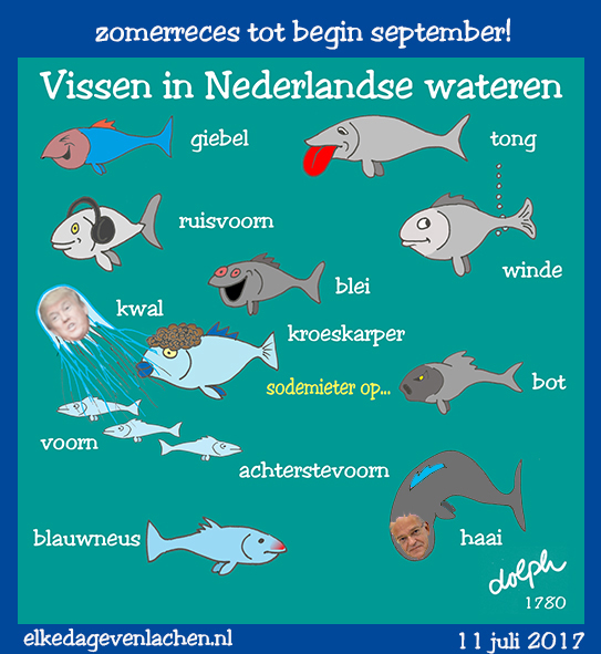 vissen