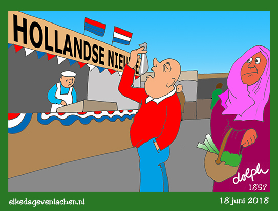 hollandse nieuwe
