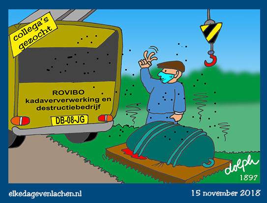 collega gezocht