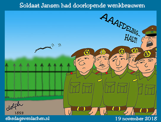 doorlopende wenkbrauwen