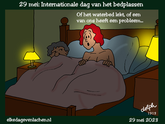 bed plassen