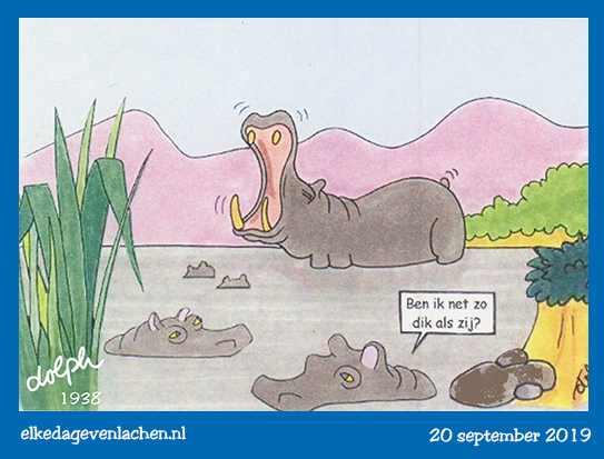 hippo