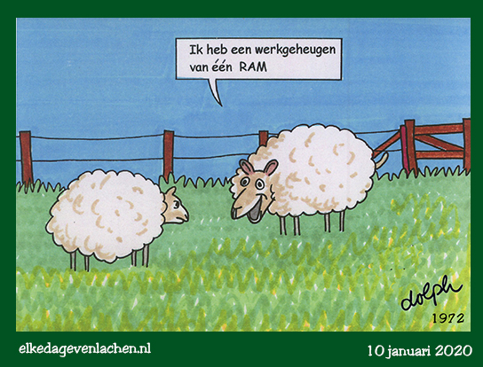 RAM