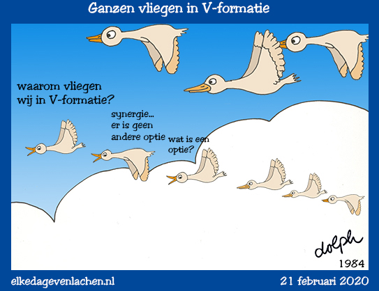 gansen v formatie