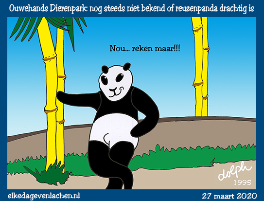 panda