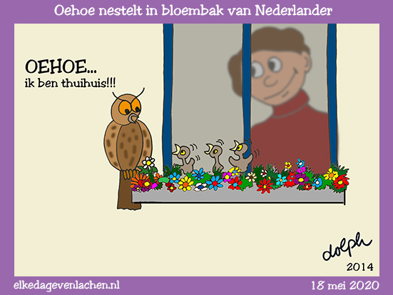 oehoe