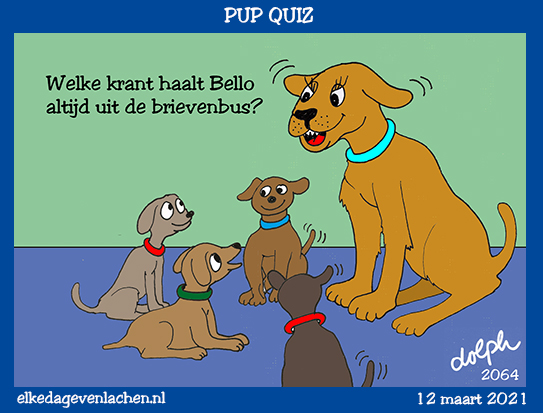 PUP Quiz
