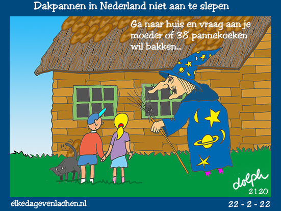 pannekoeken dakpannen