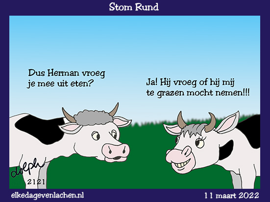 stom rund