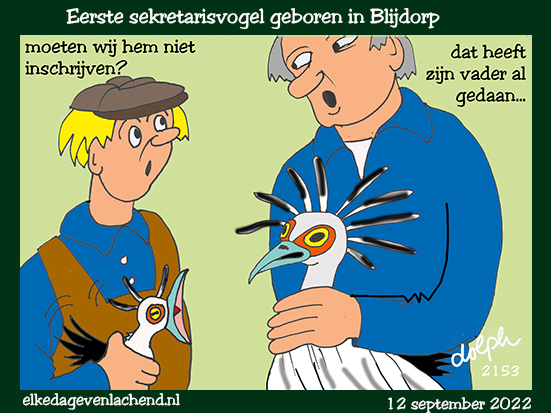 sekretarisvogel