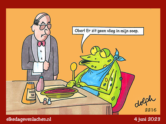 kikker vlieg soep