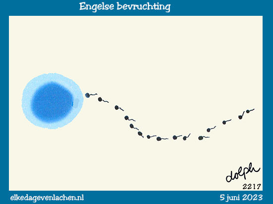engelse bevruchting