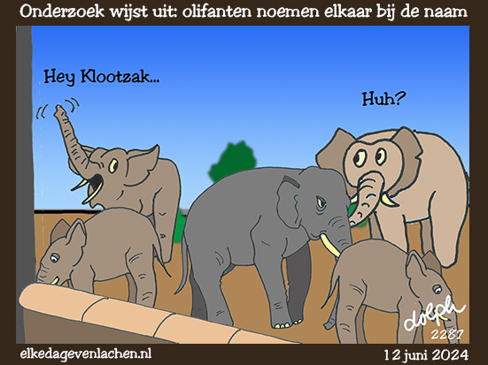 olifanten