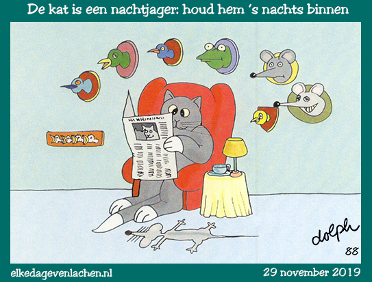 nachtkat jager